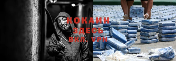 мяу мяу кристалл Корсаков