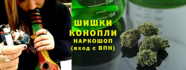 дмт Козельск