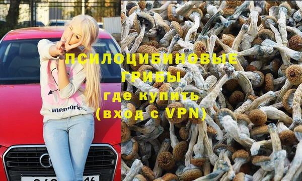 прущие крисы Кодинск