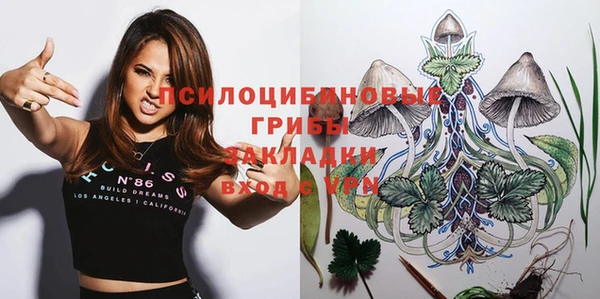 2c-b Козловка