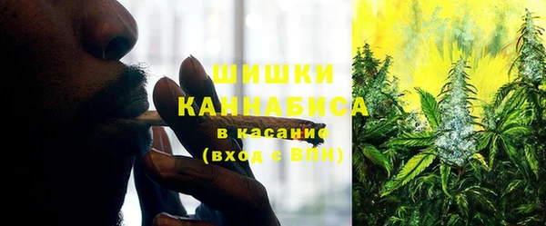 крисы Киреевск